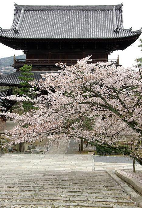 Nanako House Villa Kyoto Buitenkant foto